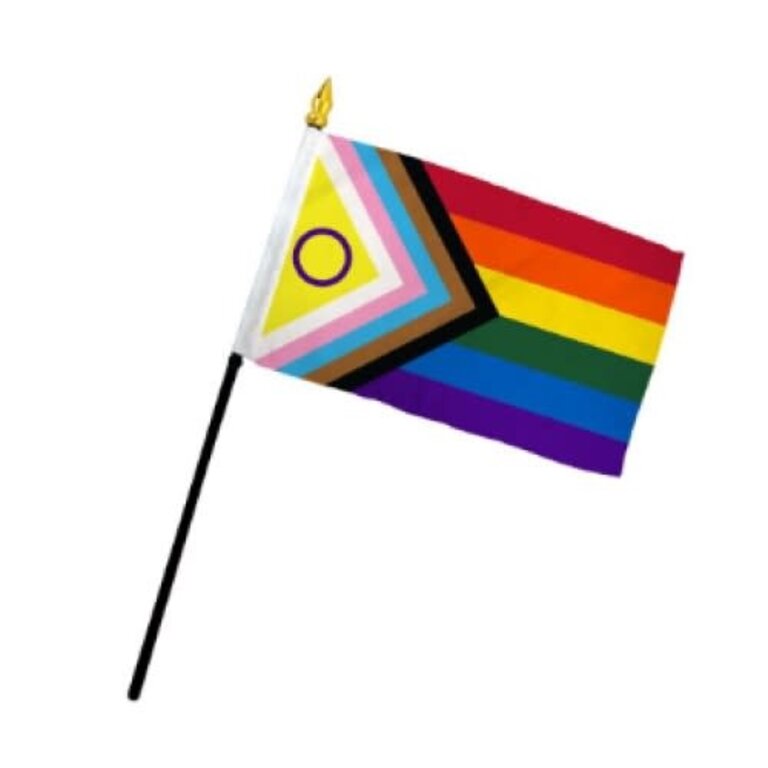 Pride not Prejudice Pride... Flag Stick Inclusive 4 inch x 6 inch