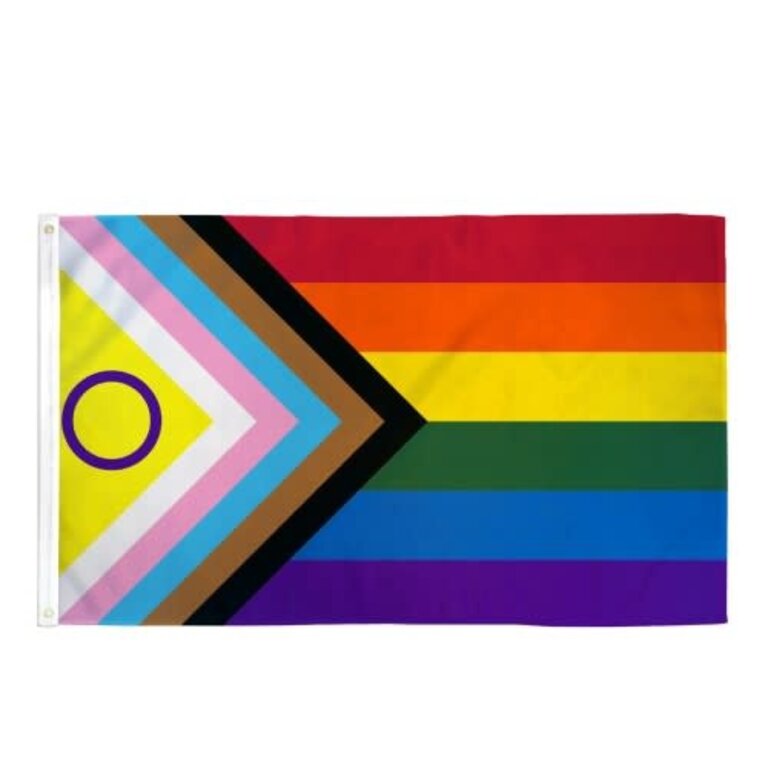 Pride not Prejudice Pride... Flag Polyester Inclusive Pride 02 foot x 03 foot