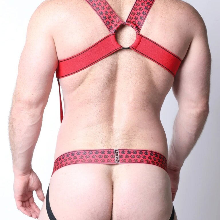 Cellblock13 Cellblock13 Muzzle Up Harness