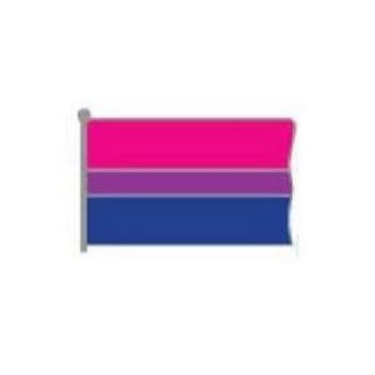 Pride not Prejudice Pride Pin - Regular Flag