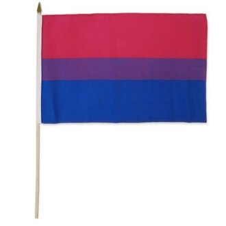 Pride not Prejudice Pride... Flag Stick Bisexual 12" x 18"
