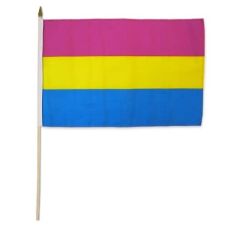 Pride not Prejudice Pride... Flag Stick Pansexual 12" x 18"