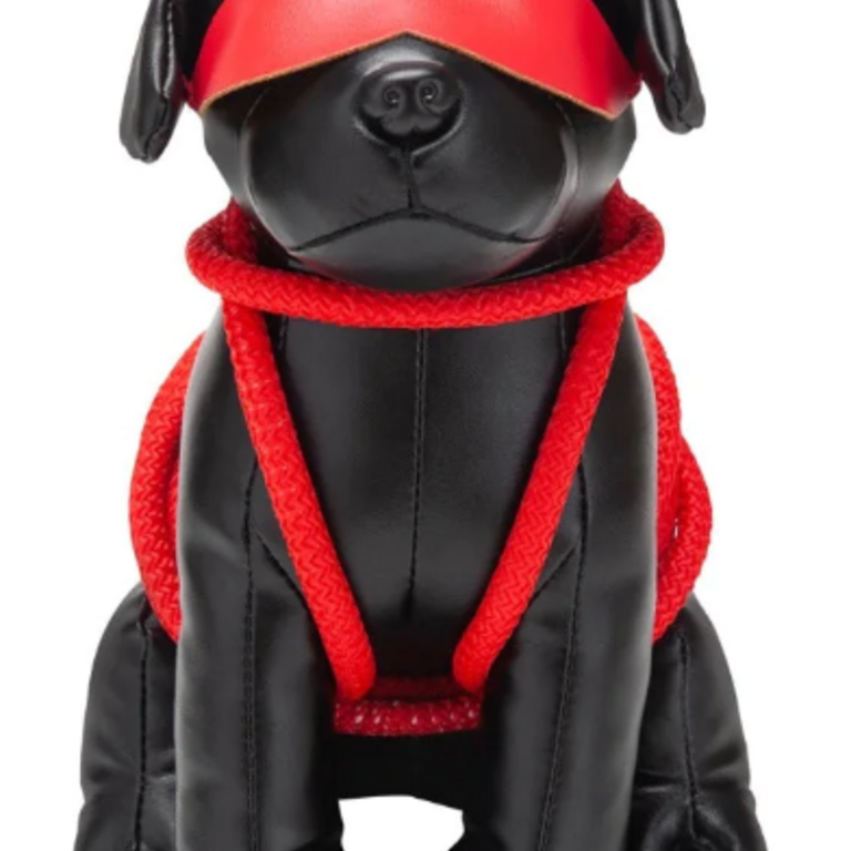 Prowler Prowler RED Puppies Bondage Puppy