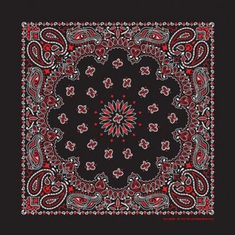 The Bandanna Co. Bandanna Co. Paisley Black & Red 22 inch x 22 inch