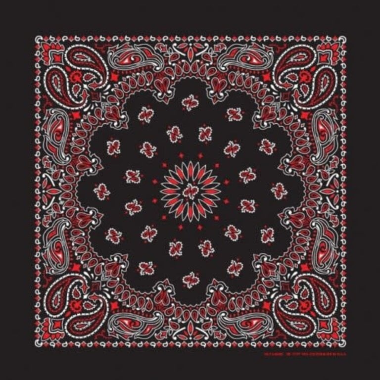 The Bandanna Co. Bandanna Co. Paisley Black & Red 22 inch x 22 inch