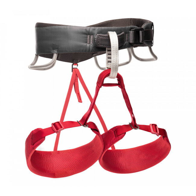 Women's Momentum Harness - Size: Small