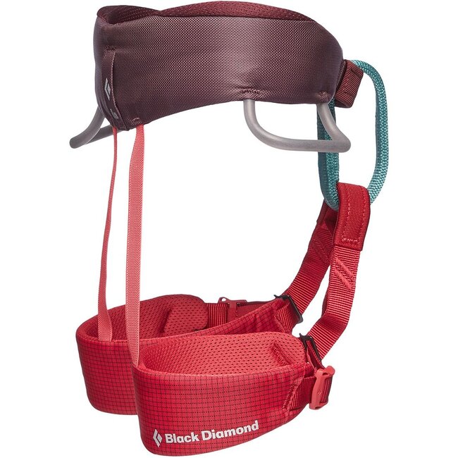 Black Diamond Momentum Kids Harness