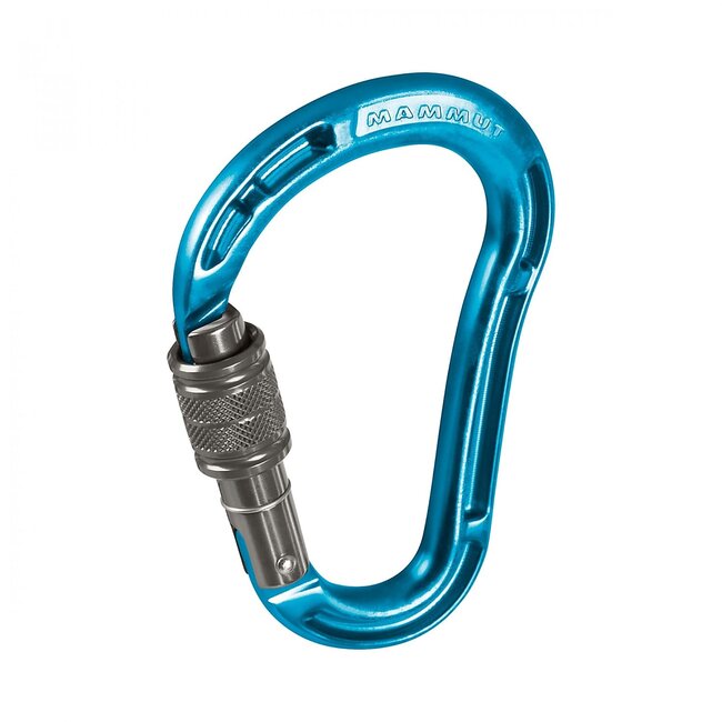 Carabiner – Magnet-ique