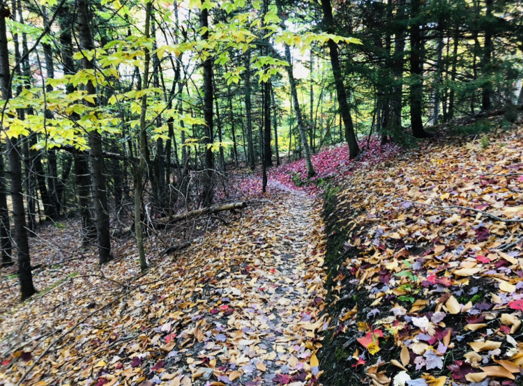 October, 11th