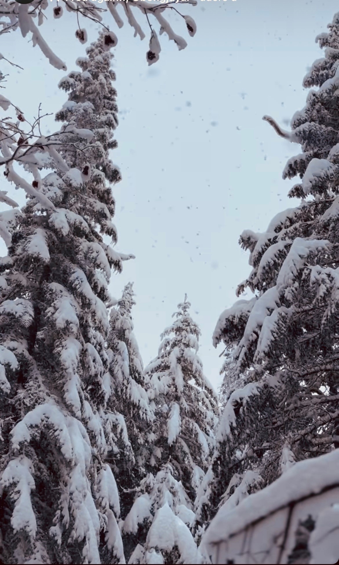 January, 8th