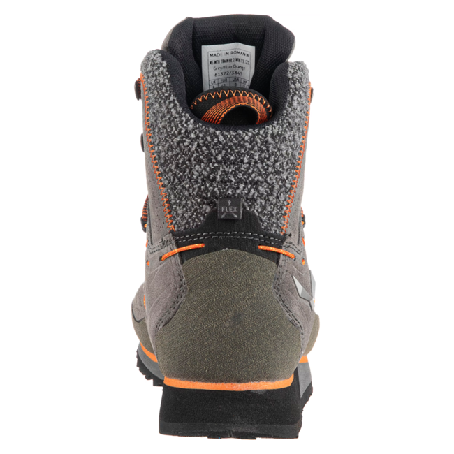 Mountain Trainer 2 Winter Gore-Tex Shoes
