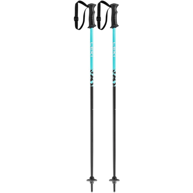 Rider Ski Pole