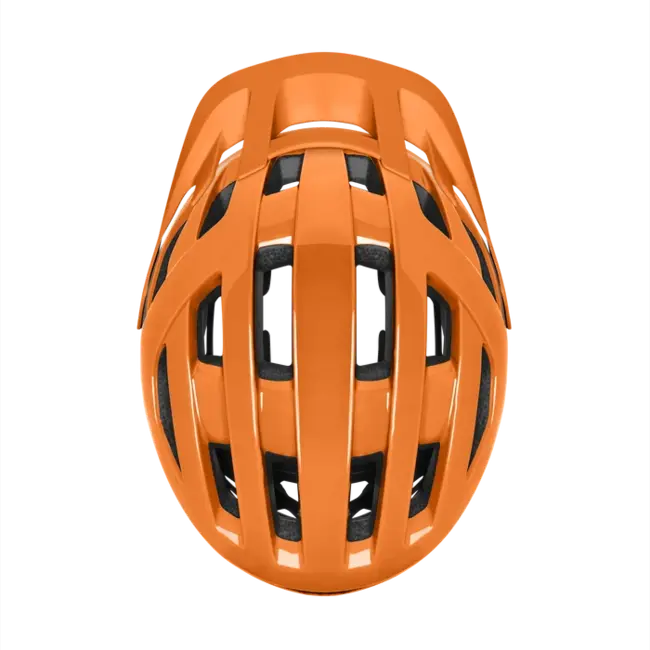 WIlder Jr MIPS 24/25