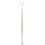 Carbon Pagoda Tour CFL 112 24/25 - Size: XL