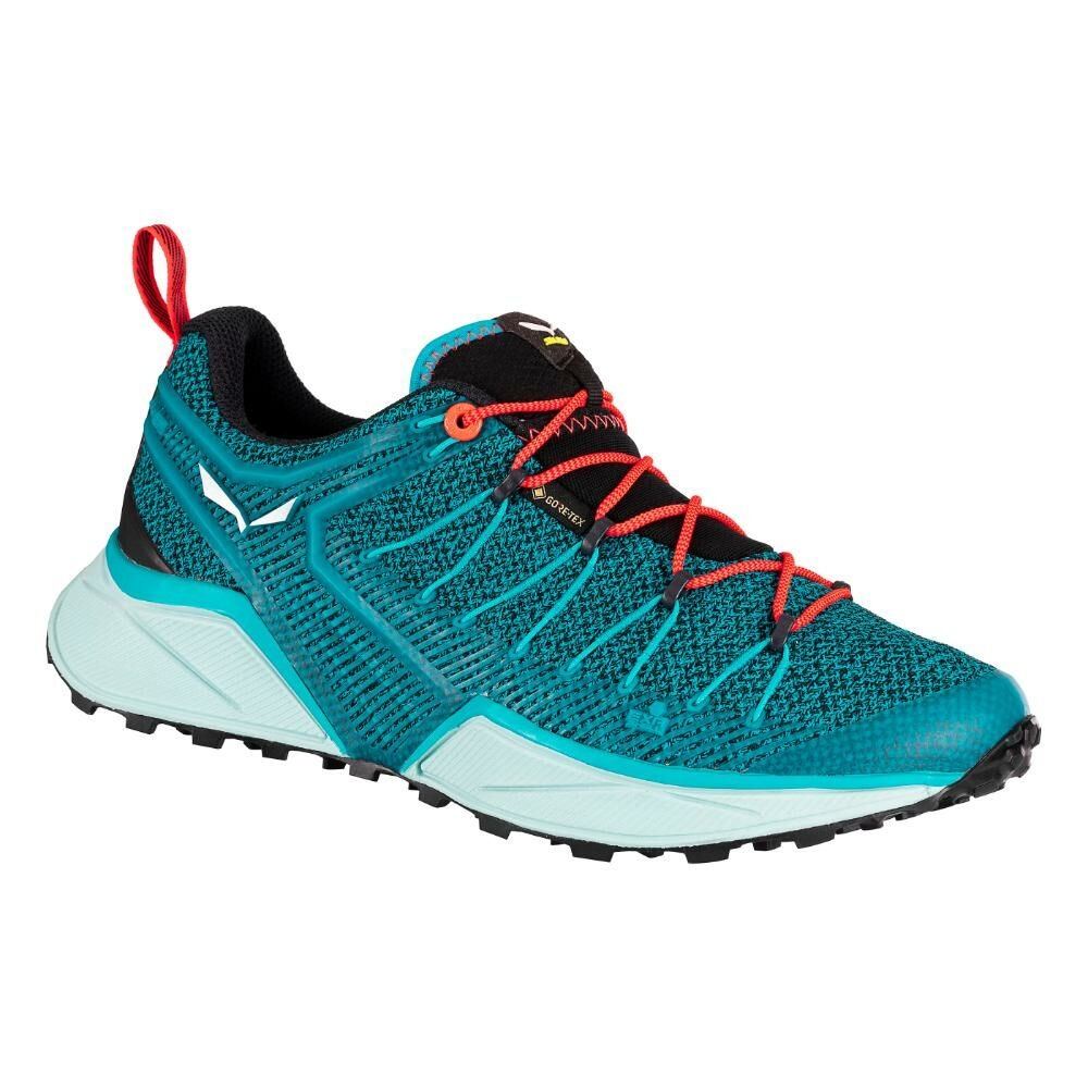 salewa-womens-dropline-gtx.jpg