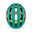 Network Mips Helmet