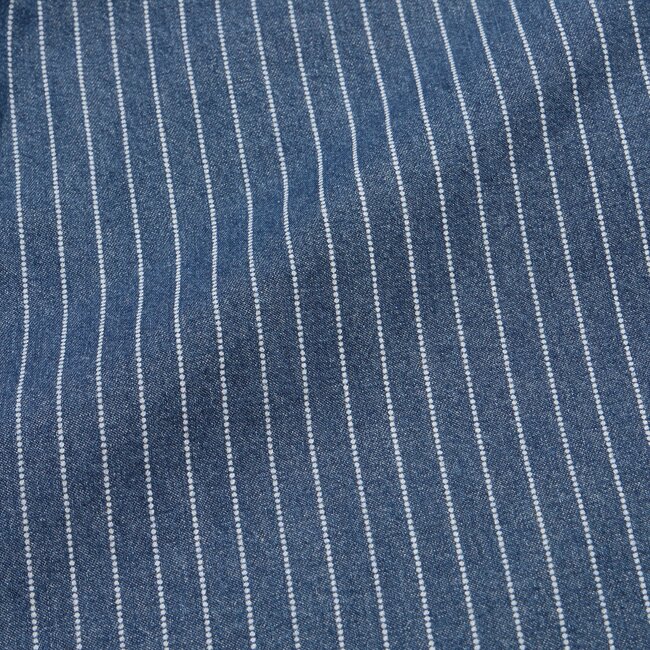 Dust Up Denim Snapshirt