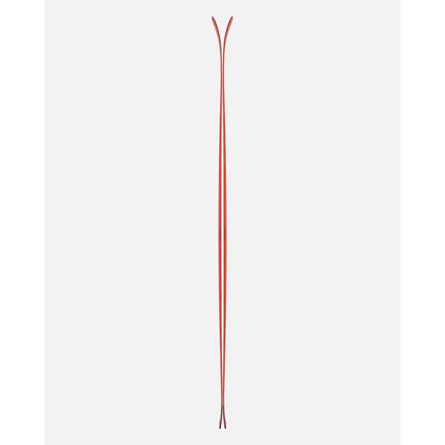 Camox Freebird 25/26