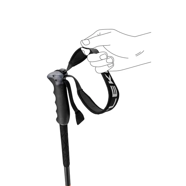 Pitch Black Ski Poles