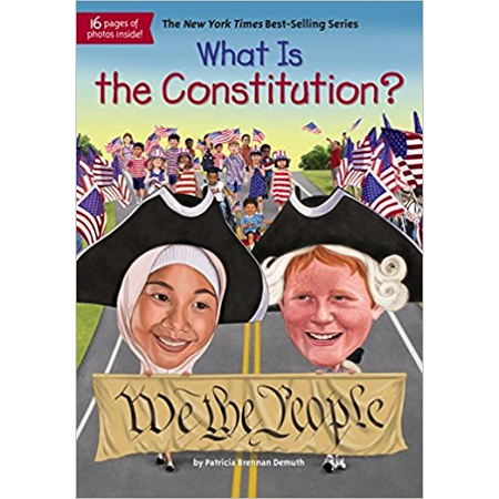 What Is The Constitution?