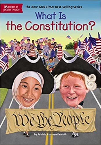 What Is The Constitution?