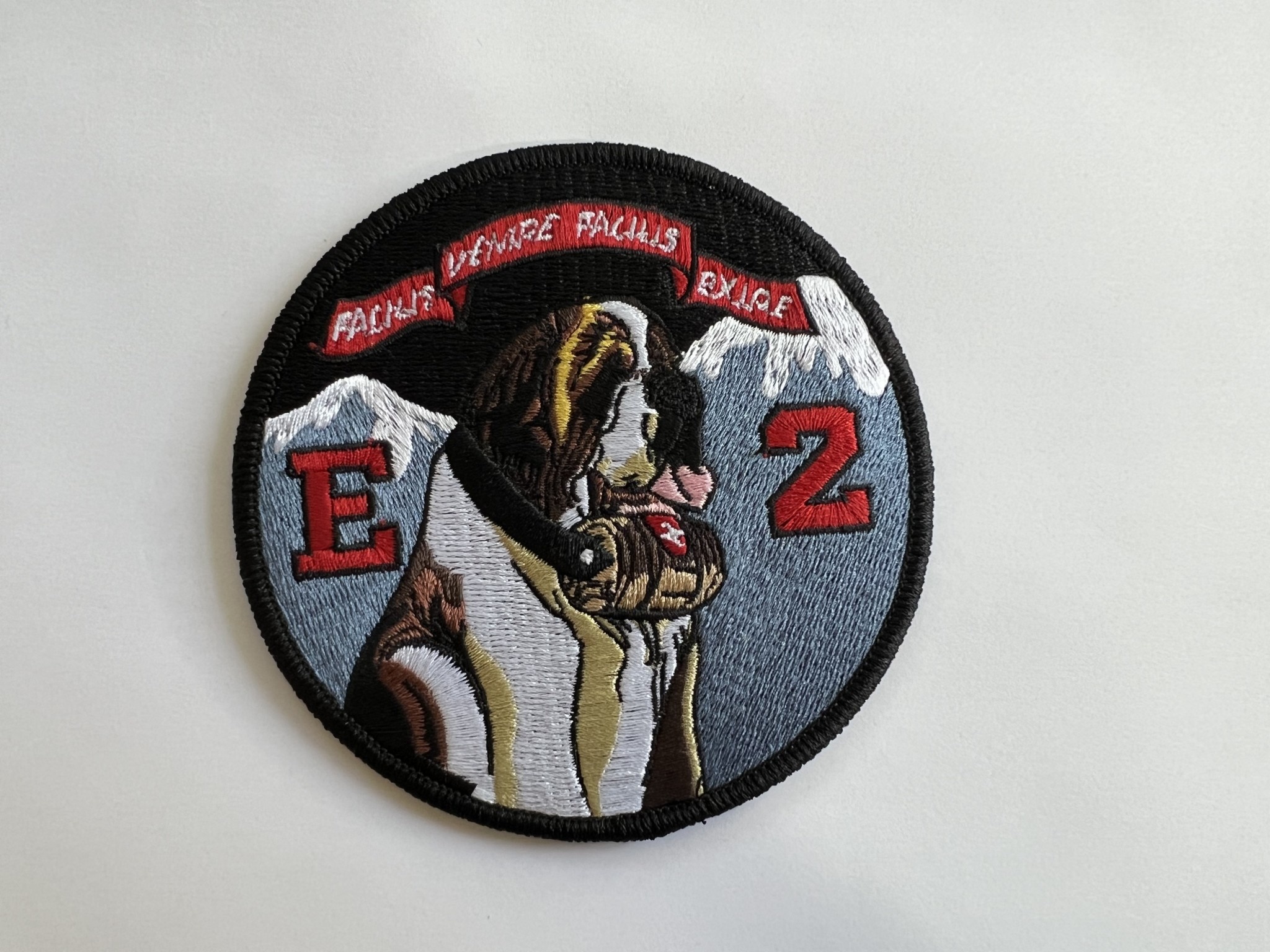 E-2 Company Patch