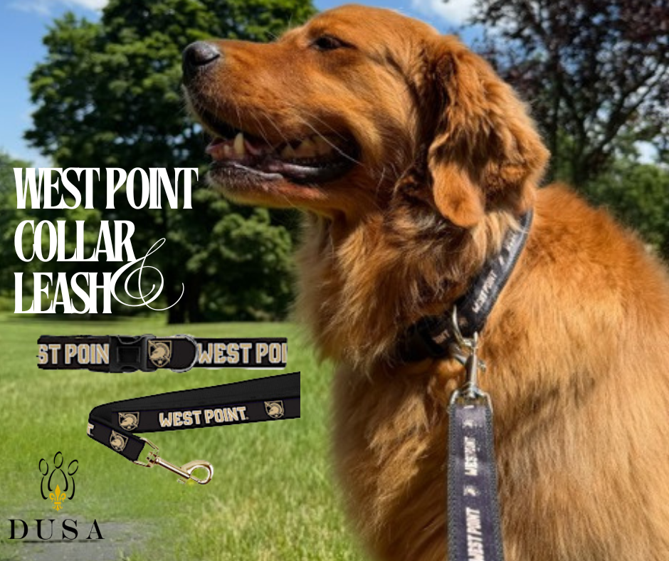 West Point Dog Collar, 3/4 inch W, Adjustable