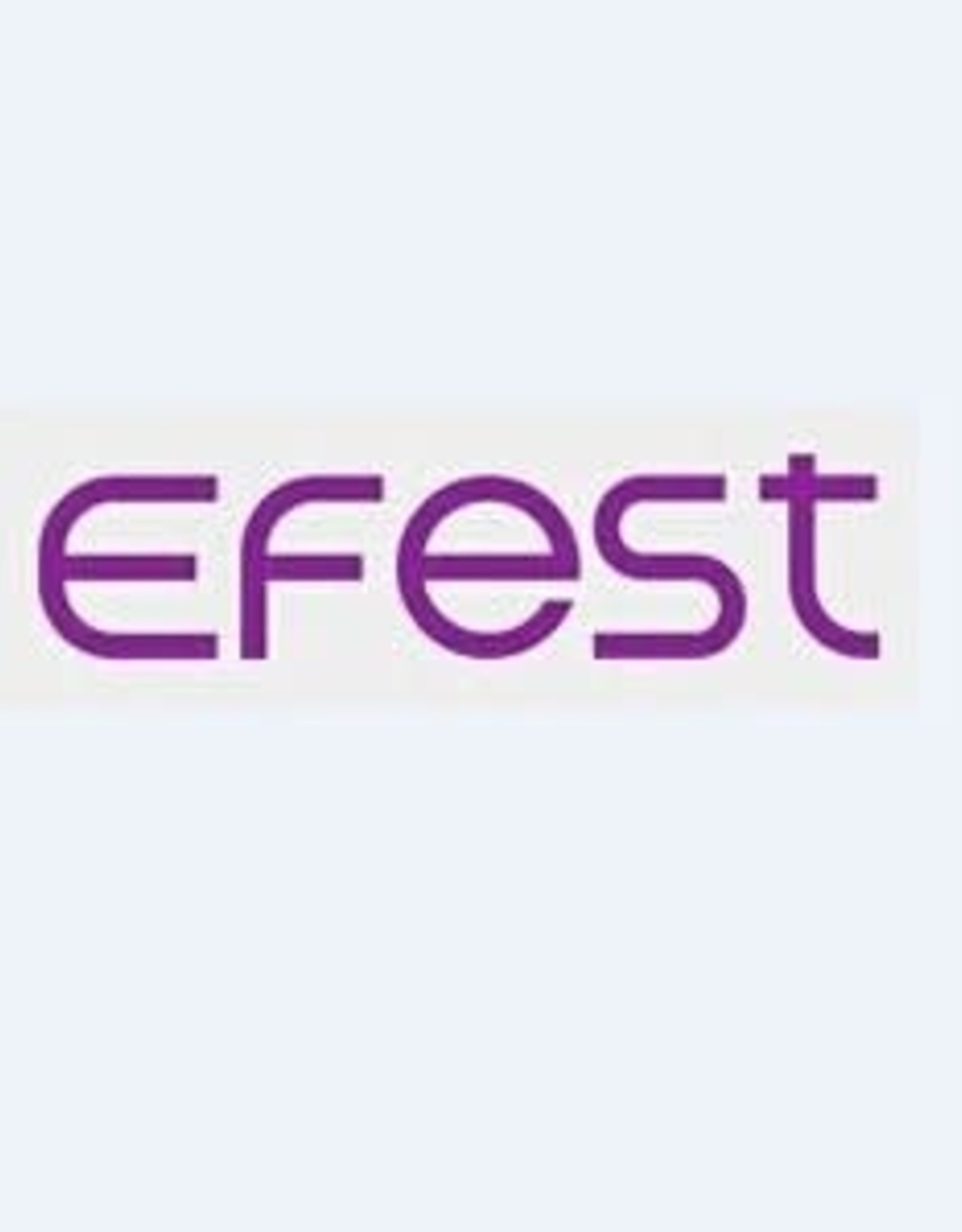 Efest Efest Charger