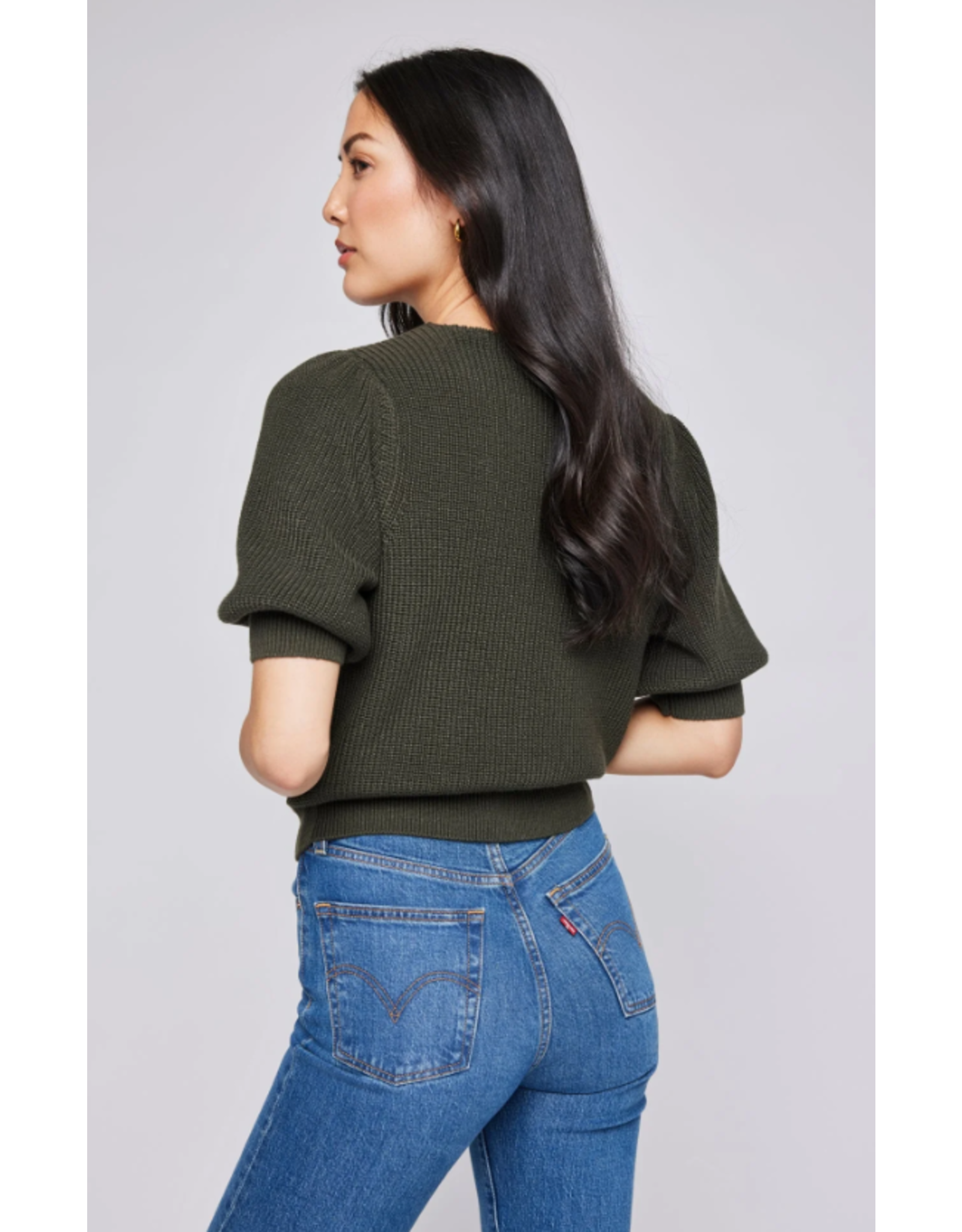 GENTLE FAWN GF2407-3965 PHOEBE