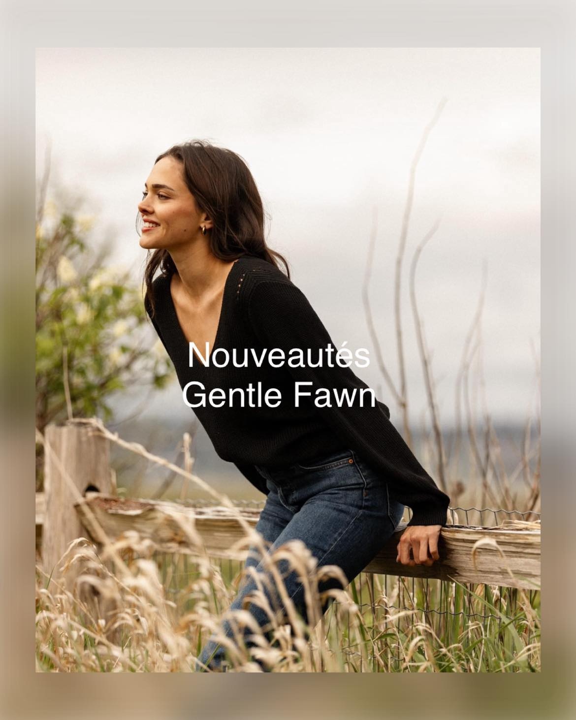 Gentle Fawn