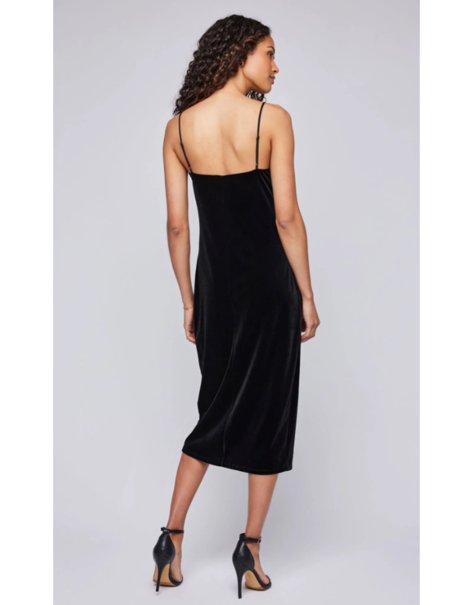 GENTLE FAWN GF2407-39f2410-870497 jolene