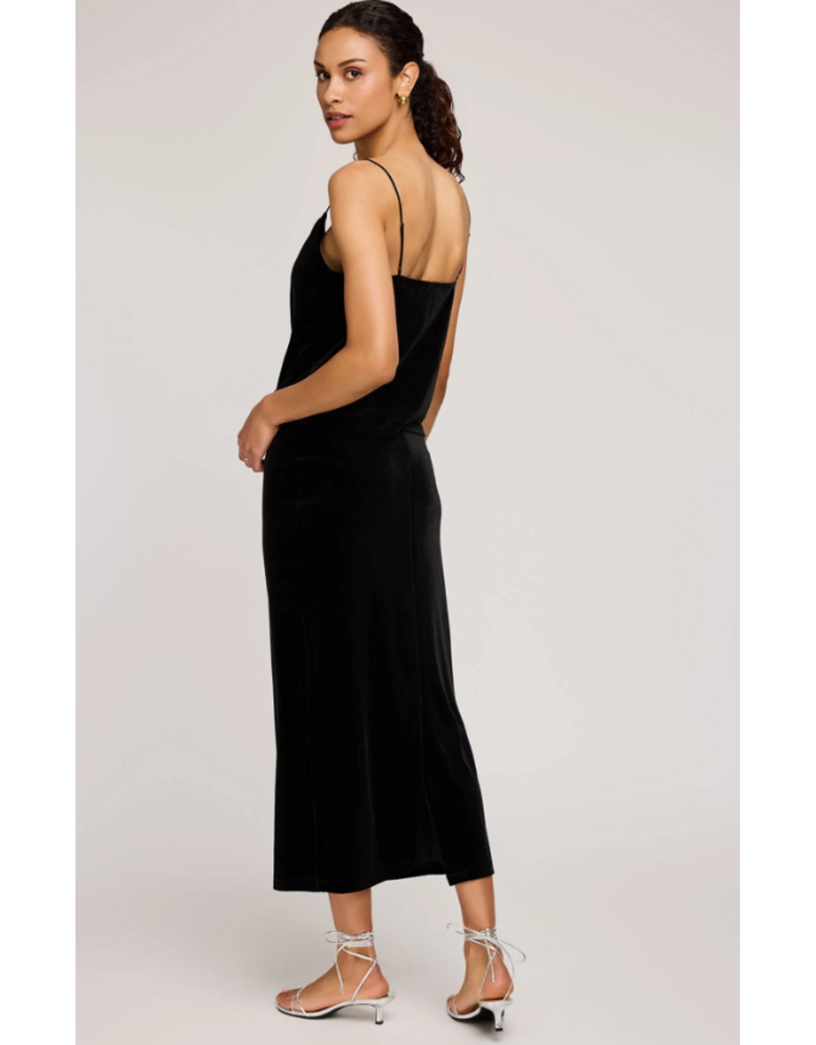 GENTLE FAWN GF2510-6162 DAHLIA