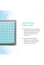Malouf CarbonCool + Omniphase Pillow