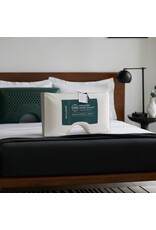 Malouf Zoned Dough + CBD Infused Pillows