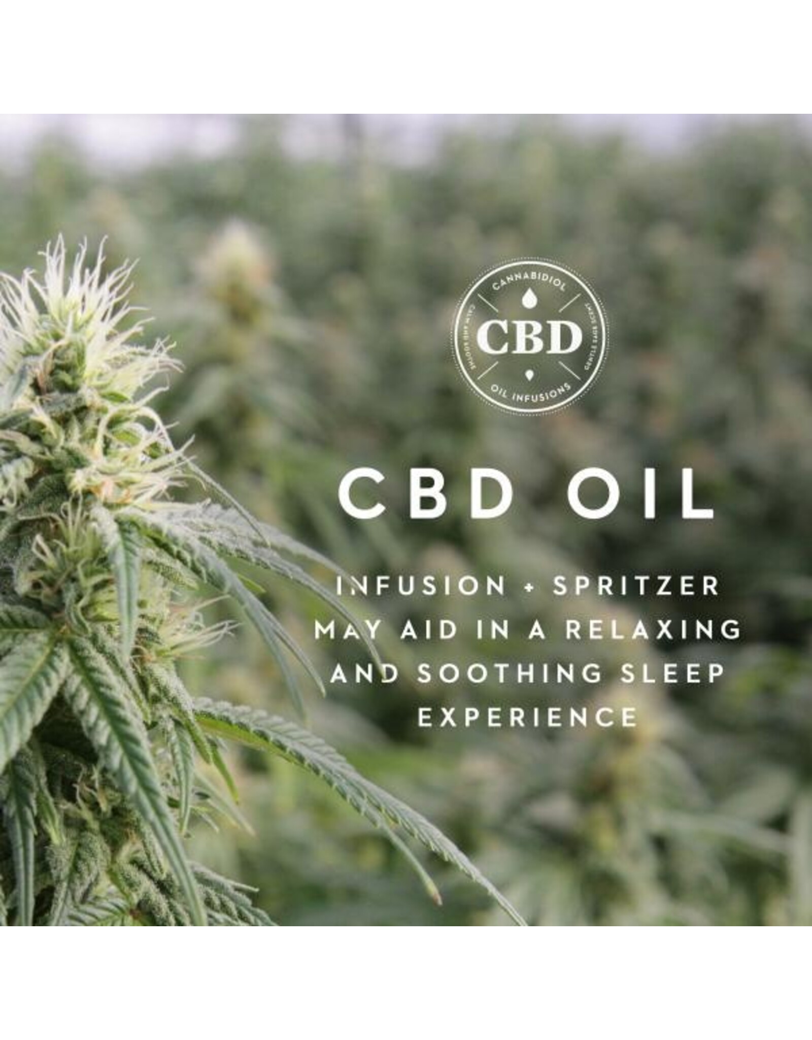 Malouf Zoned Dough + CBD Infused Pillows