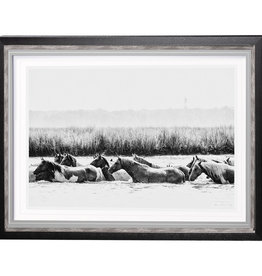 WATER HORSES HORIZONTAL B&W