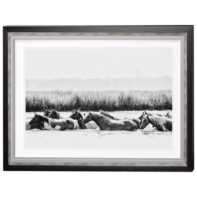 WATER HORSES HORIZONTAL B&W