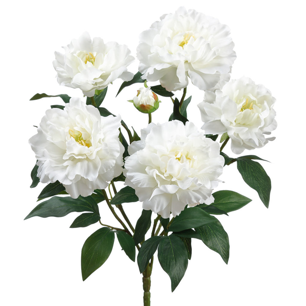 PEONY BUSH WHITE 18"