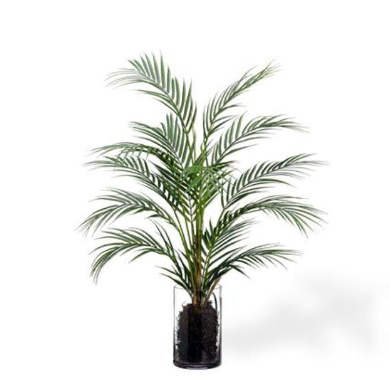 ARECA PALM IN GLASS VASE 32"