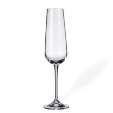 ARDEA CRYSTALITE CHAMPAGNE FLUTE SET-6