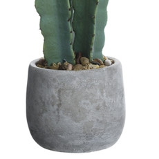 COLUMN CACTUS IN GREY POT 19"