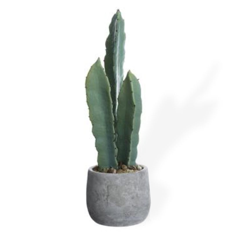 COLUMN CACTUS IN GREY POT 19"