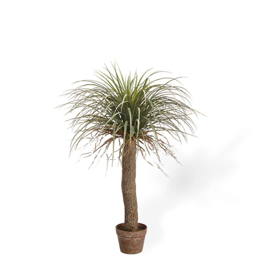 DESERT PALM TREE 38"