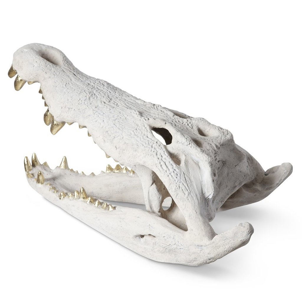 CROCODILE SKULL GOLD LEAF