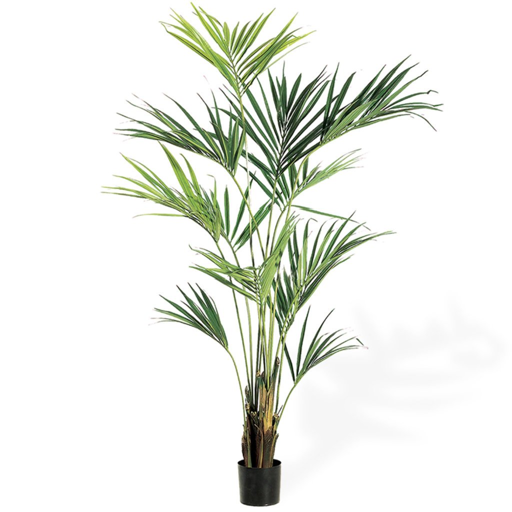 KENTIA PALM TREE 93" LARGE