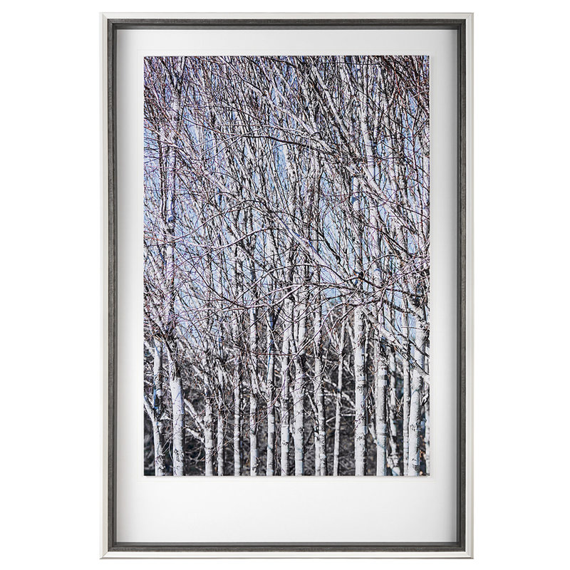 BIRCH THICKET I