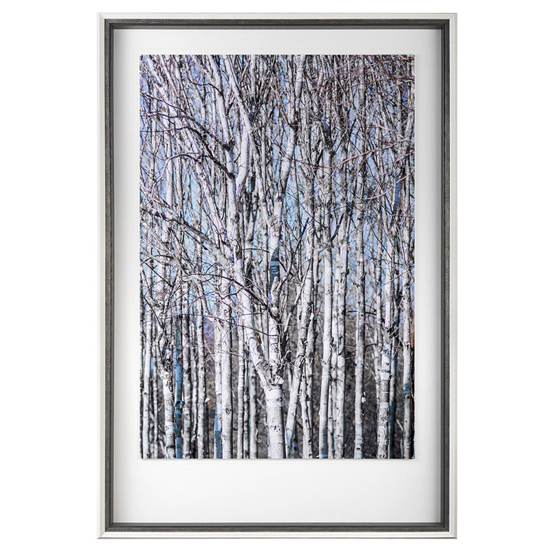 BIRCH THICKET II