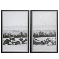 WATER HORSES GREYSCALE SET-2