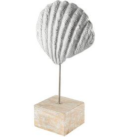 CLAM SHELL DECOR ON STAND