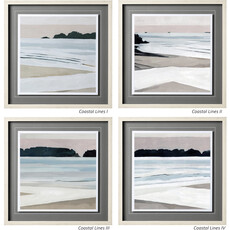 COASTAL LINES IV FRAMED ARTWORK